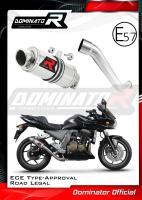 Homologovaný Laděný výfuk DOMINATOR KAWASAKI Z 750 04-06 KONCOVKA GP1 HOMOLOGACE